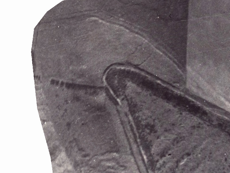 9 Hadleigh Lane from the air, 1925-1929