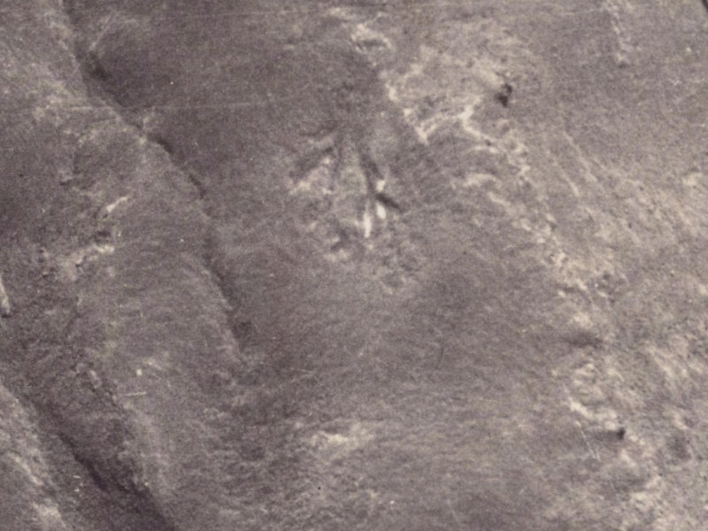 5 Scarff Place from the air, 1925-1929
