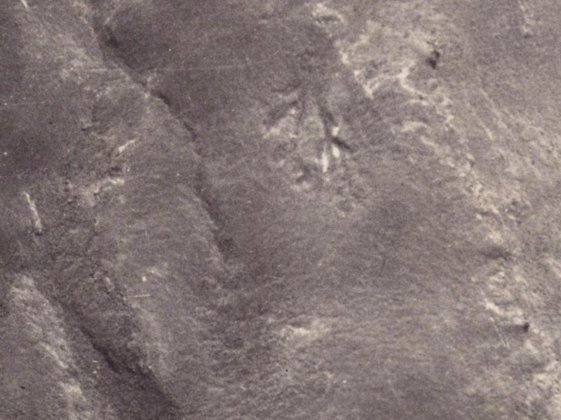 3 Scarff Place from the air, 1925-1929