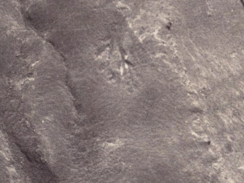 6 Scarff Place from the air, 1925-1929