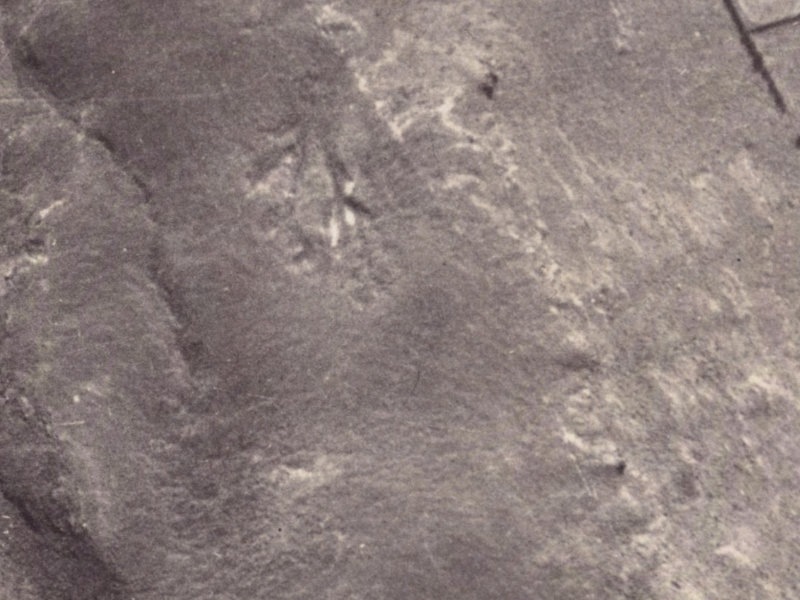 11 Scarff Place from the air, 1925-1929