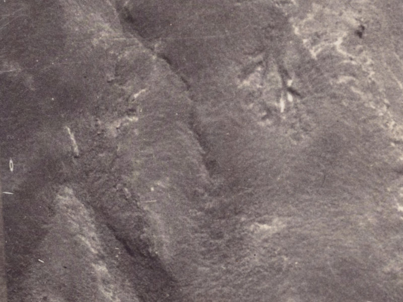 3–7 Scarff Place from the air, 1925-1929