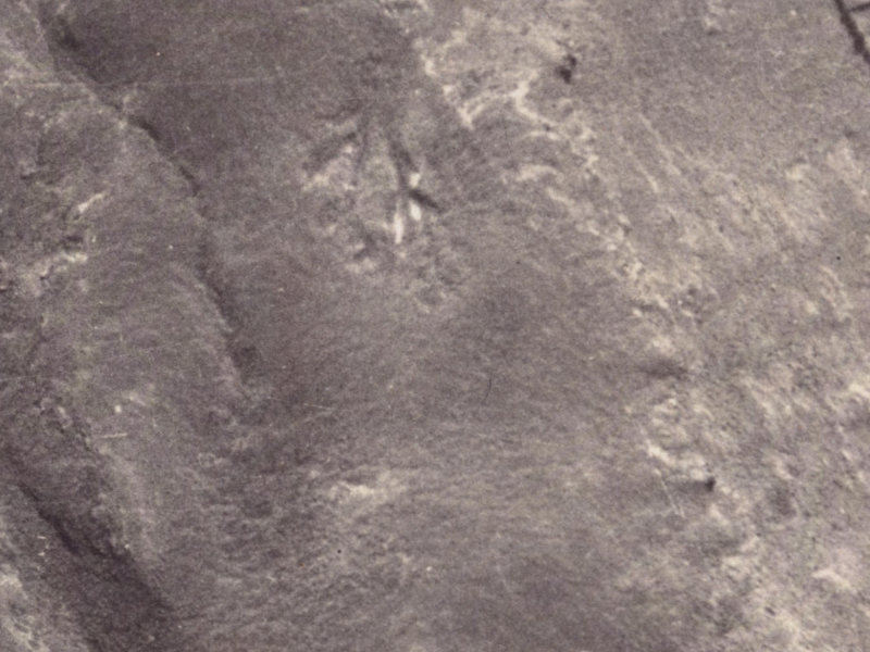 8 Scarff Place from the air, 1925-1929
