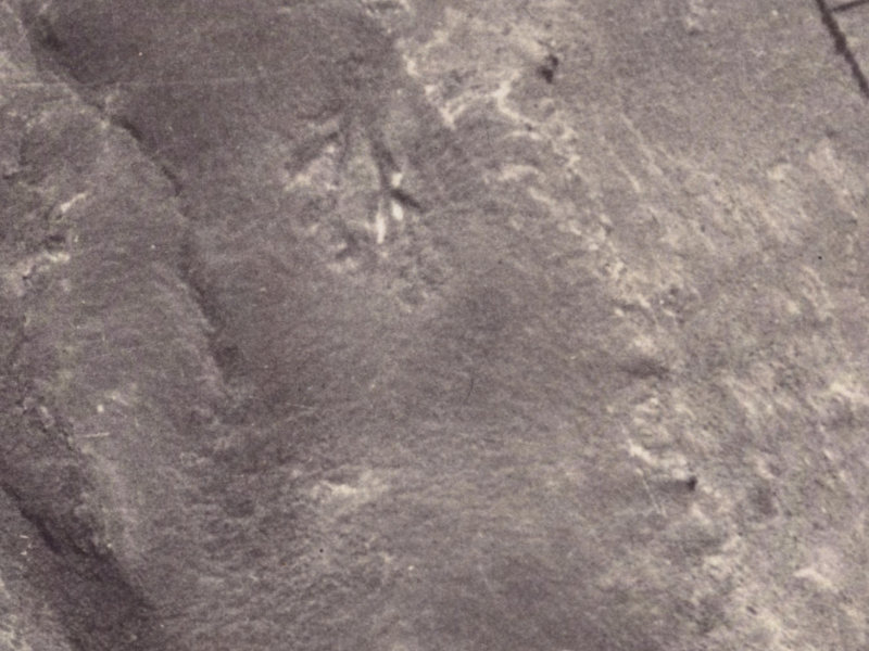 10 Scarff Place from the air, 1925-1929