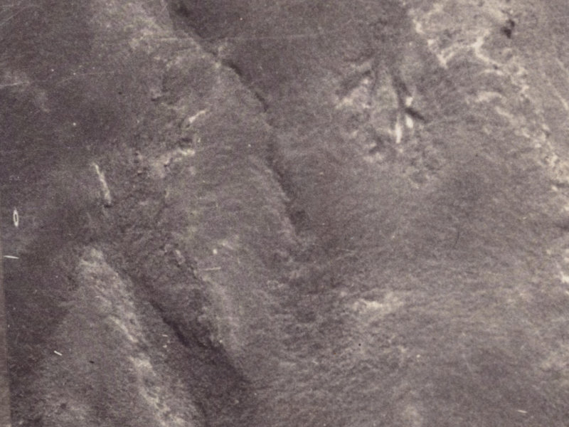 2 Scarff Place from the air, 1925-1929
