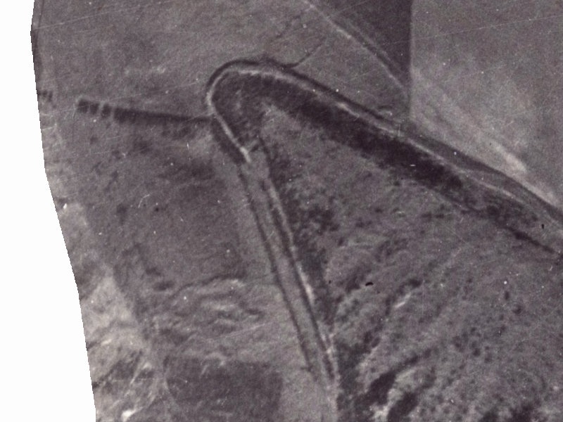 308 Worsleys Road from the air, 1925-1929