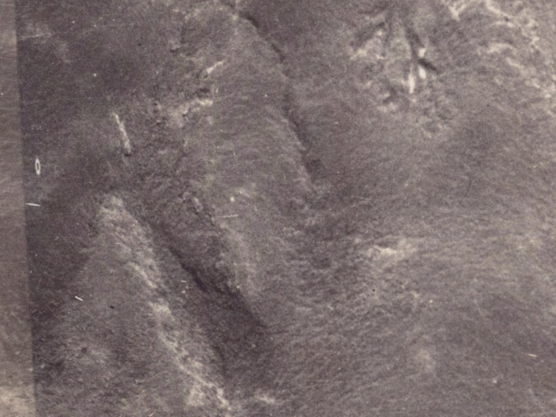 41 Longhurst Terrace from the air, 1925-1929