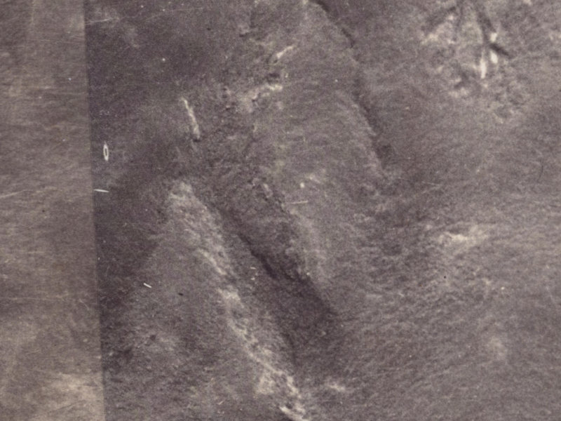 Fox Lane from the air, 1925-1929