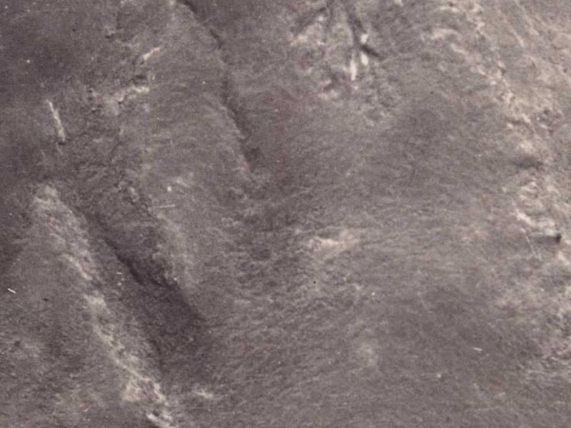 1A Harry Ell Drive from the air, 1925-1929