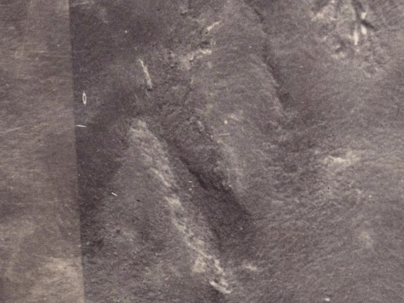 1 Fox Lane from the air, 1925-1929
