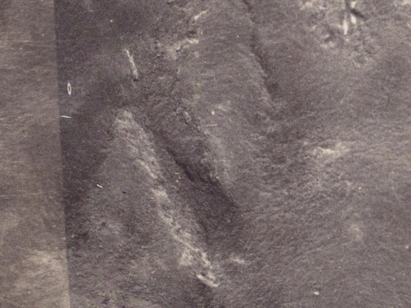 4 Fox Lane from the air, 1925-1929