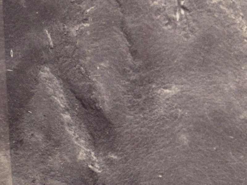 1 Allom Lane from the air, 1925-1929