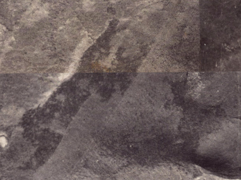 26 Peninsula View from the air, 1925-1929