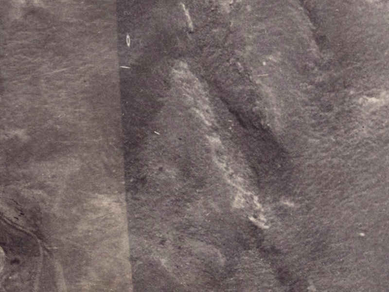 33 Longhurst Terrace from the air, 1925-1929