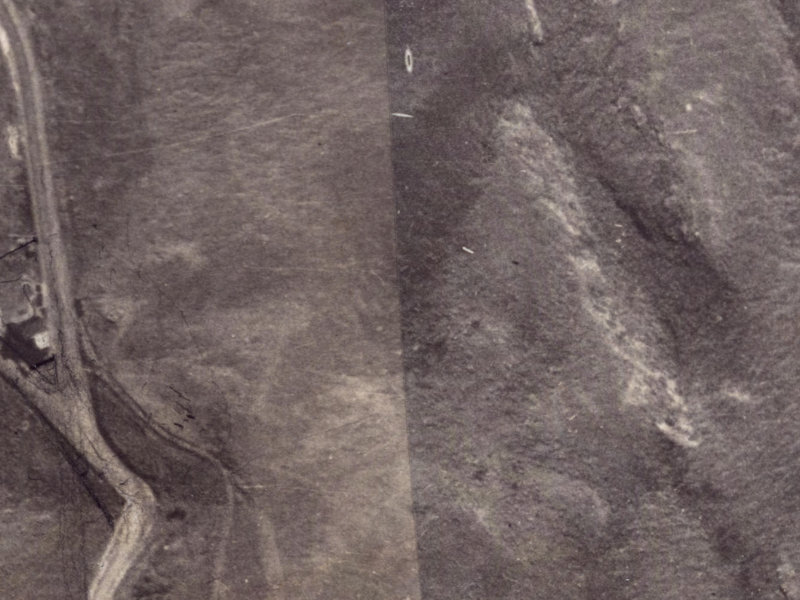 11 Longhurst Terrace from the air, 1925-1929