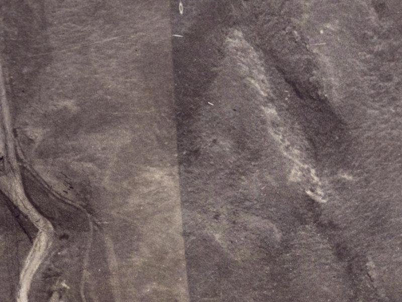 8 Longhurst Terrace from the air, 1925-1929
