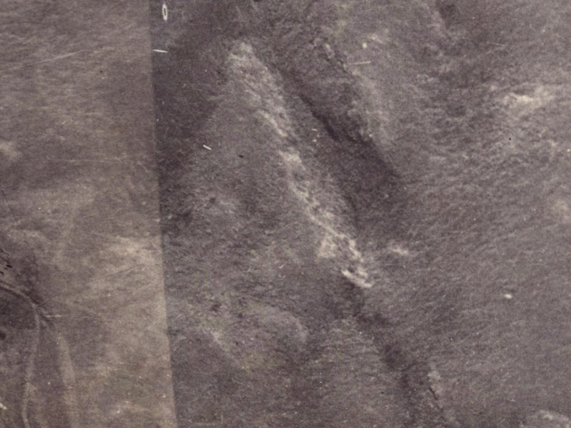 16 Longhurst Terrace from the air, 1925-1929
