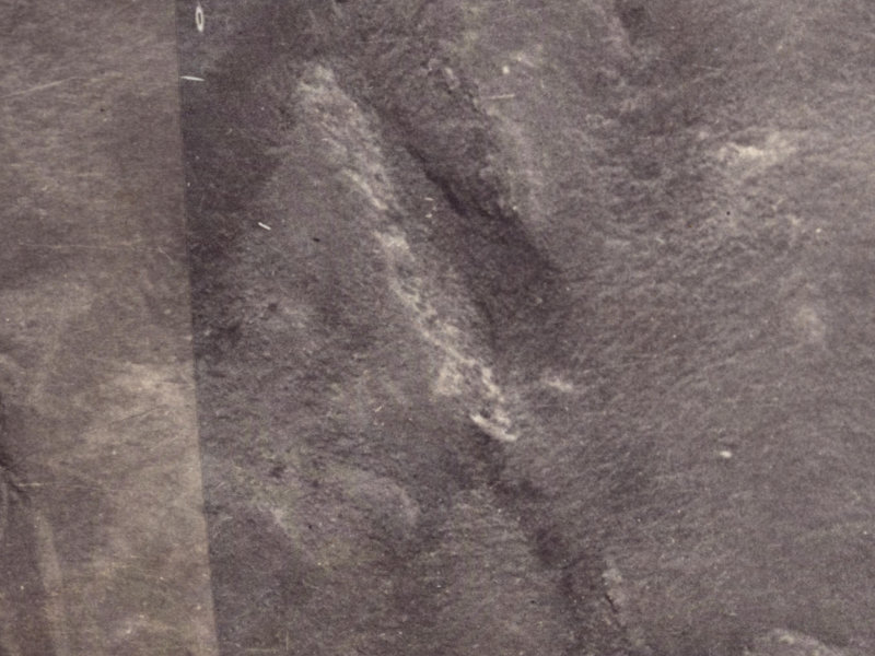 20 Longhurst Terrace from the air, 1925-1929