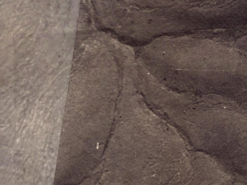 38 Morgans Valley from the air, 1925-1929