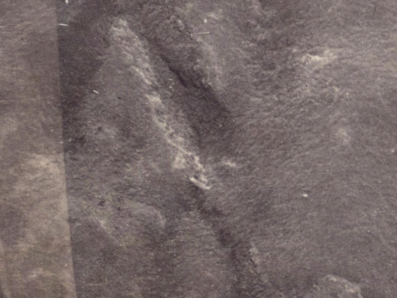 22 Longhurst Terrace from the air, 1925-1929