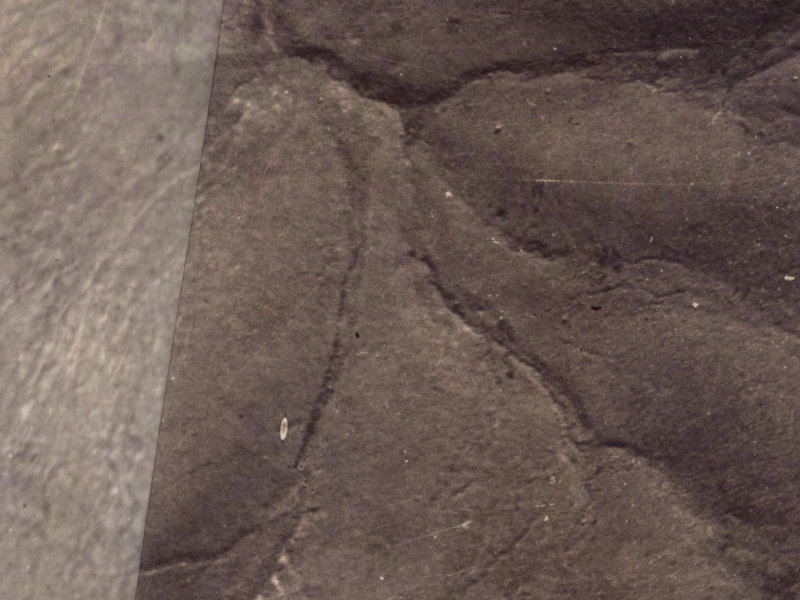 56 Morgans Valley from the air, 1925-1929