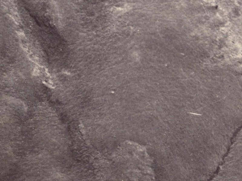 31D Harry Ell Drive from the air, 1925-1929
