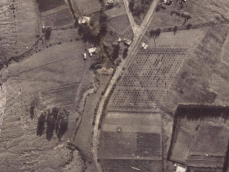 21 Bridle Path Road from the air, 1925-1929
