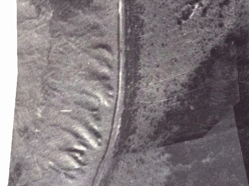 263–311 Worsleys Road from the air, 1925-1929