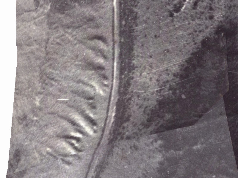 319B Worsleys Road from the air, 1925-1929