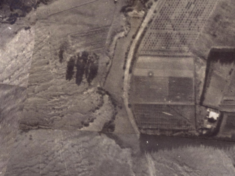 12 Bridle Path Road from the air, 1925-1929