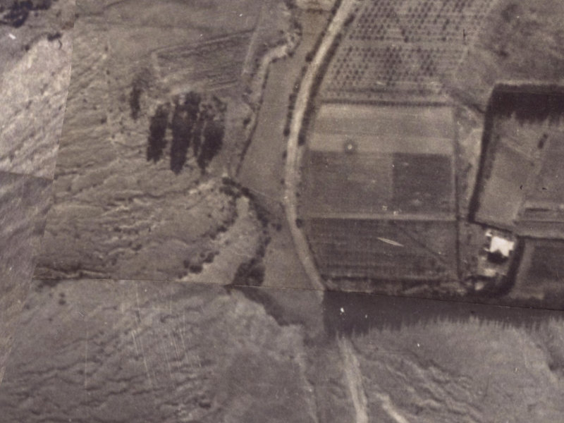 5–9 Bridle Path Road from the air, 1925-1929