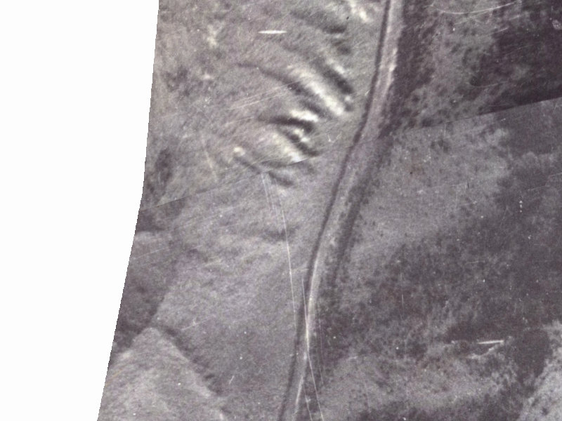 194–288 Worsleys Road from the air, 1925-1929