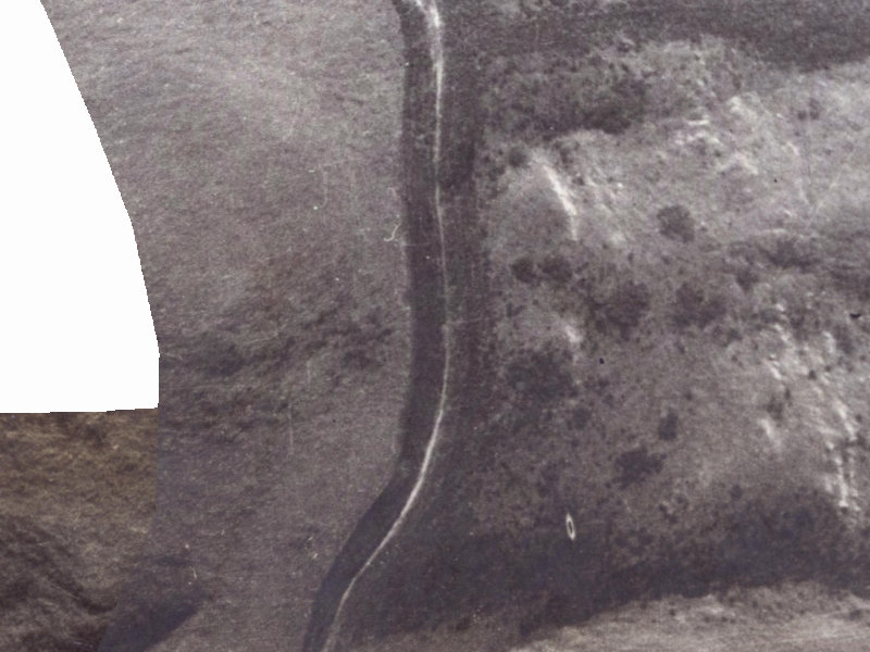331 Worsleys Road from the air, 1925-1929
