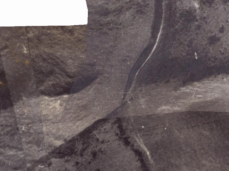 335 Worsleys Road from the air, 1925-1929
