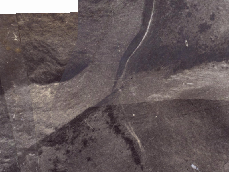 333 Worsleys Road from the air, 1925-1929