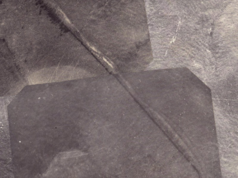 346 Worsleys Road from the air, 1925-1929