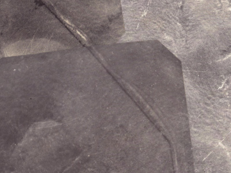 2 Aglaia Place from the air, 1925-1929