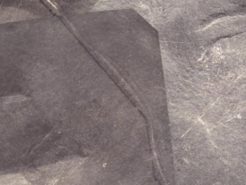 341A Worsleys Road from the air, 1925-1929
