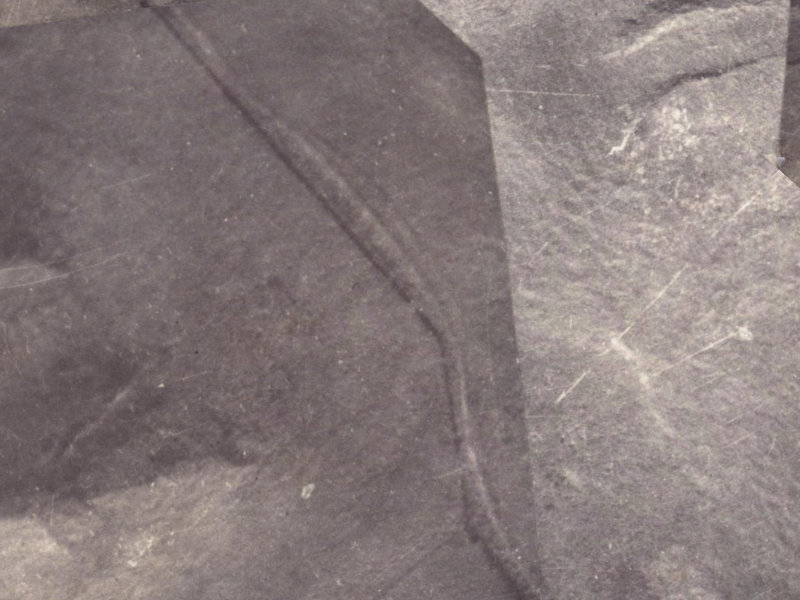 343A Worsleys Road from the air, 1925-1929