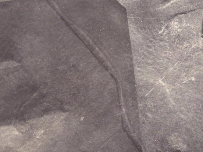 343A Worsleys Road from the air, 1925-1929