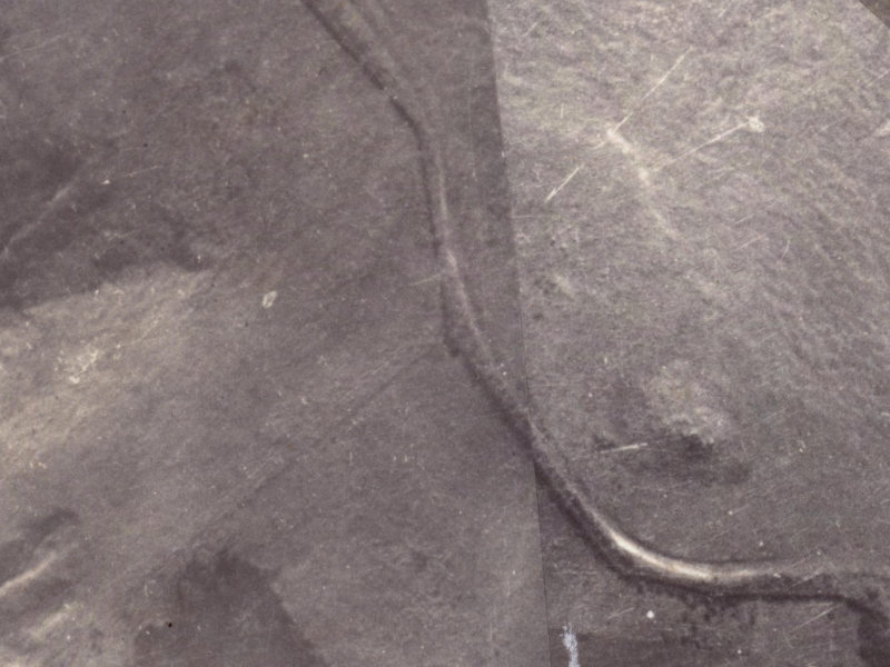 345 Worsleys Road from the air, 1925-1929