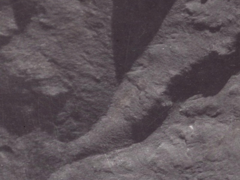 CM3X+F4 Lyttelton from the air, 1925-1929