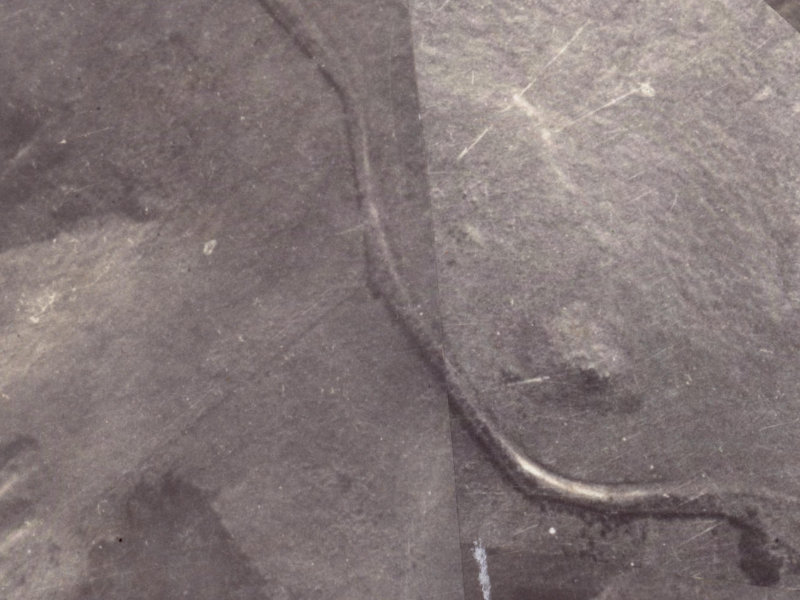 345A 345A from the air, 1925-1929