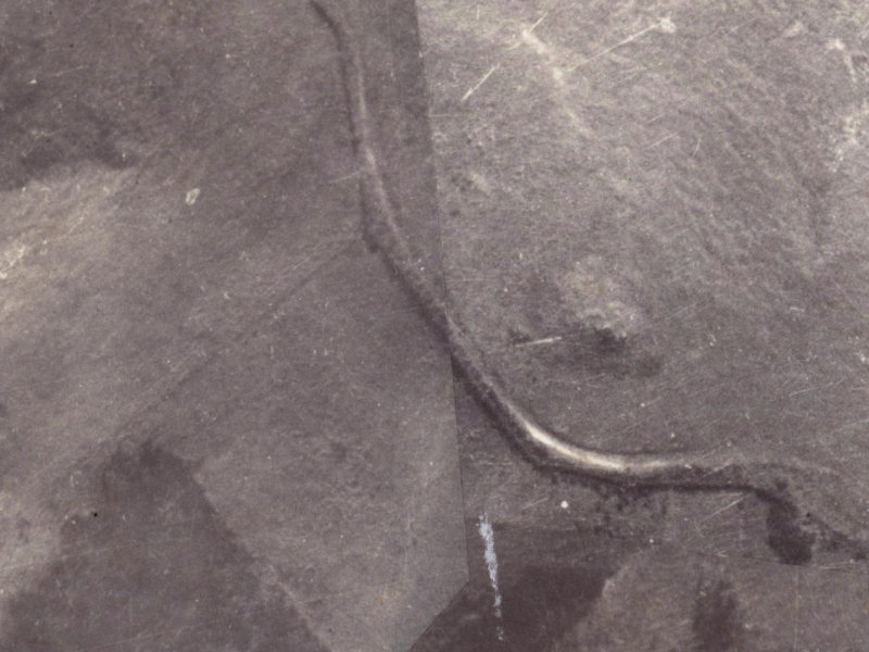 345A Worsleys Road from the air, 1925-1929