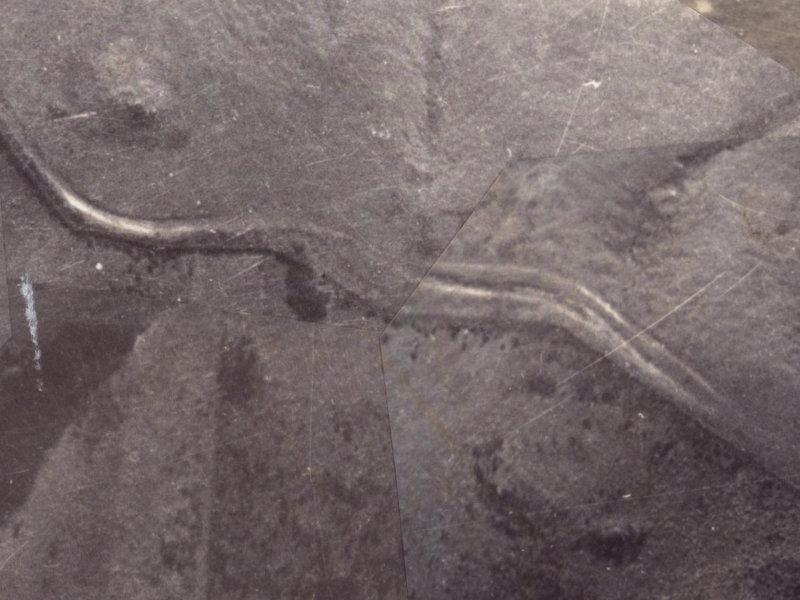 358 Worsleys Road from the air, 1925-1929