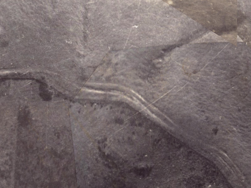 351 Worsleys Road from the air, 1925-1929