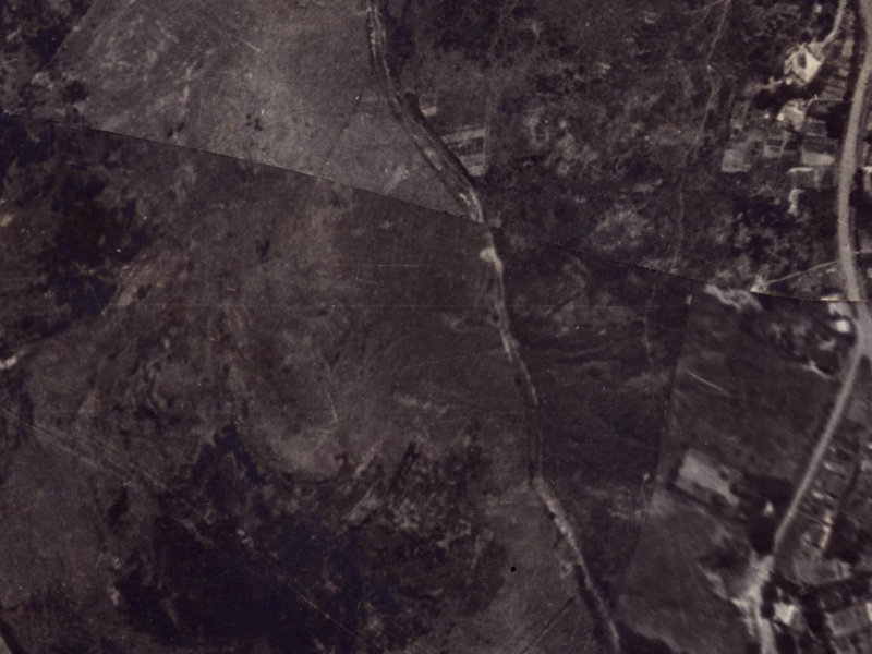 30 Bridle Path from the air, 1925-1929