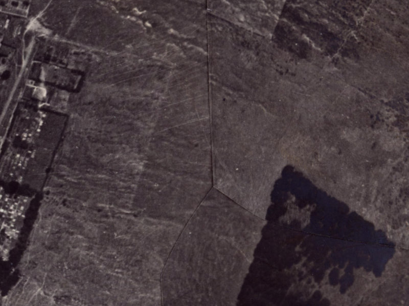 21 Foster Terrace from the air, 1925-1929