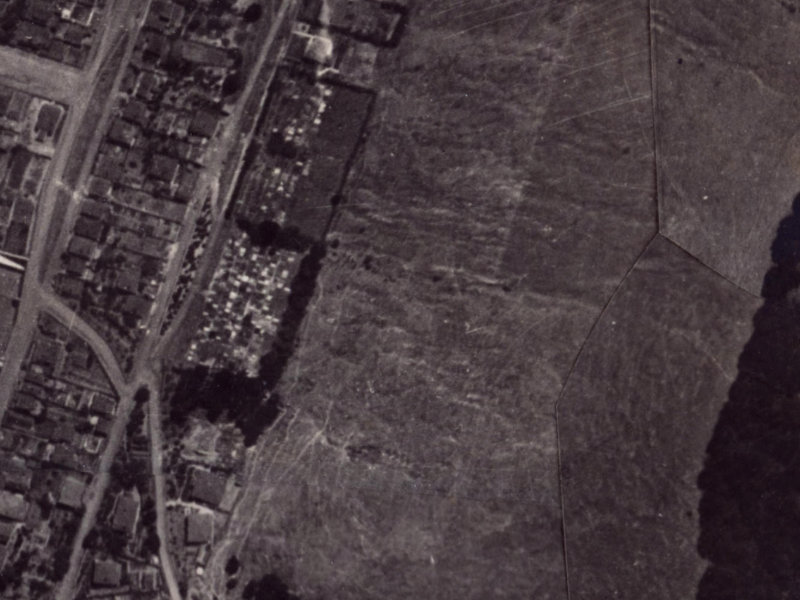 Foster Terrace from the air, 1925-1929