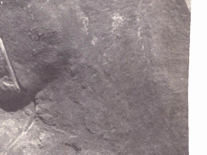 Christchurch from the air, 1925-1929